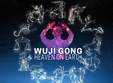 wuji gong pluton si cele 12 arhetipuri ale zodiacului