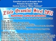 zilele orasului siret 2011