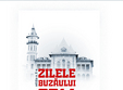 zilele buzaului 2014