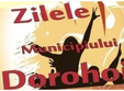 zilele dorohoiului 2013