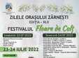 zilele ora ului zarne ti festivalul floare de col 