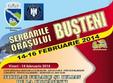 zilele orasului busteni 2014