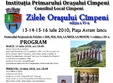 zilele orasului cimpeni