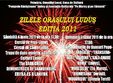 zilele orasului ludus 2011