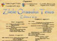 zilele orasului teius 2011
