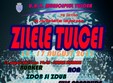 zilele orasului tulcea 2013