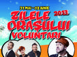 poze zilele orasului voluntari 31 mai 02 iunie 2013 