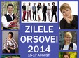 zilele orsovei 2014