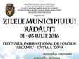 zilele radautiului 2016