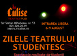 zilele teatrului studen esc in culise