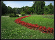 poze ziua gradinii botanice timisoara