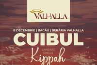concert cuibul la bacau