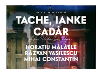 tache ianke si cadar