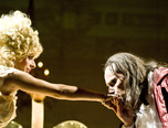 amadeus 11