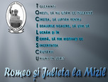  concursul national de poezie si epigrame romeo si julieta la mizil  5