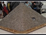 expozitie in gara constanta 17