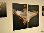 expozitie renee renard 1