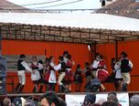 festival international de folclor 4