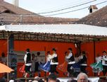 festival international de folclor 0