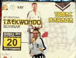 stagiul interna ional de taekwon do sibiu 2014 0