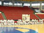 stagiul interna ional de taekwon do sibiu 2014 1