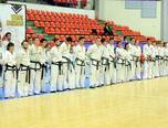 stagiul interna ional de taekwon do sibiu 2014 3