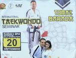 stagiul interna ional de taekwon do sibiu 2014 10