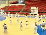 stagiul interna ional de taekwon do sibiu 2014 14