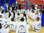 stagiul interna ional de taekwon do sibiu 2014 15