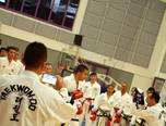 stagiul interna ional de taekwon do sibiu 2014 0
