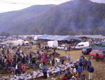 targul de la negreni 2009 0