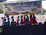 zilele recoltei 5