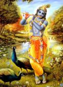 hare krishna