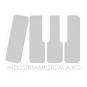 industria muzicala