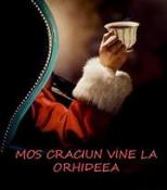 orhideea wintervillage