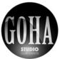 brasov gohastudio
