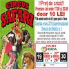 circus safari